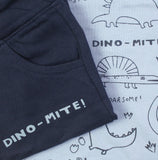 Dino-Mite Sky & Navy Twinset